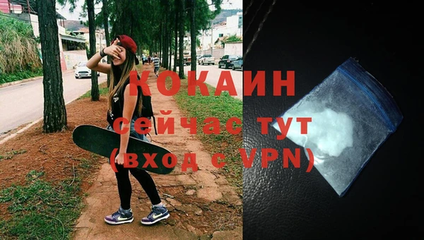 СК Кинешма