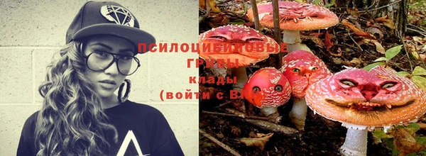 мет Касимов