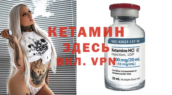 шишки Карпинск